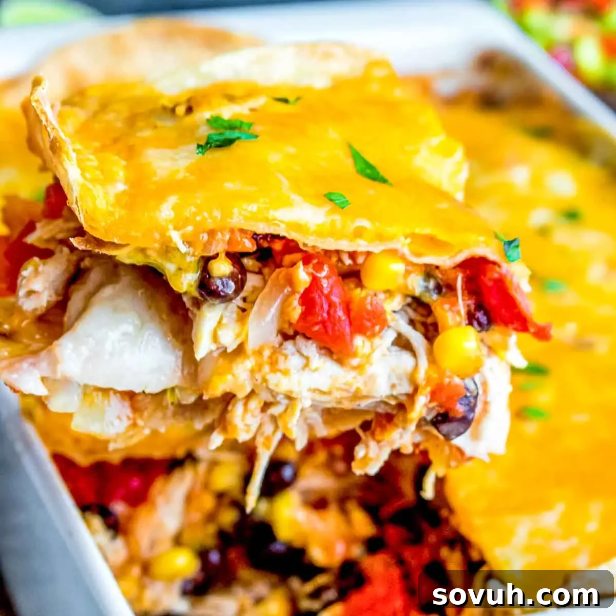 A close-up of a Chicken Tortilla Casserole slice topped with melted cheese, showing layers with vegetables and beans.