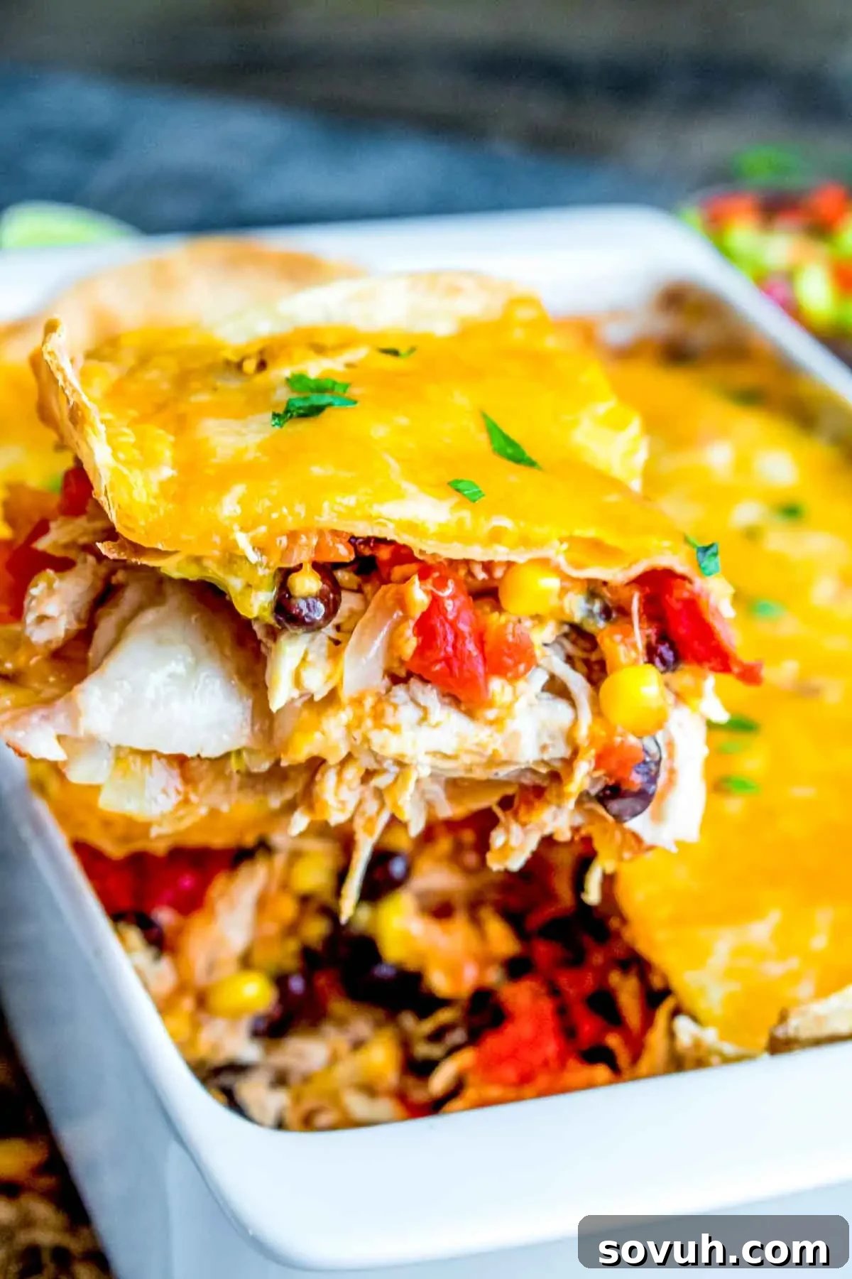 A close-up image of a layered Chicken Tortilla Casserole in a white dish, topped with melted cheese and sprinkled with chopped herbs.