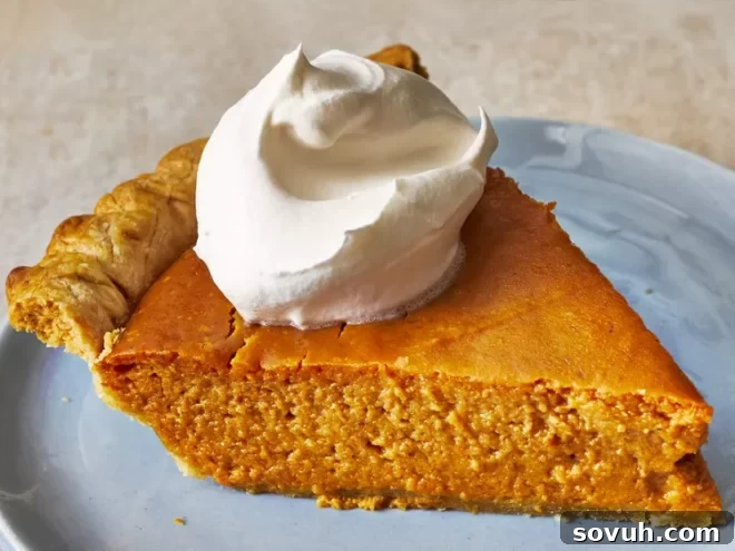 A perfect slice of Pumpkin Pie, adorned with a generous swirl of whipped cream on top, ready for the holiday table.
