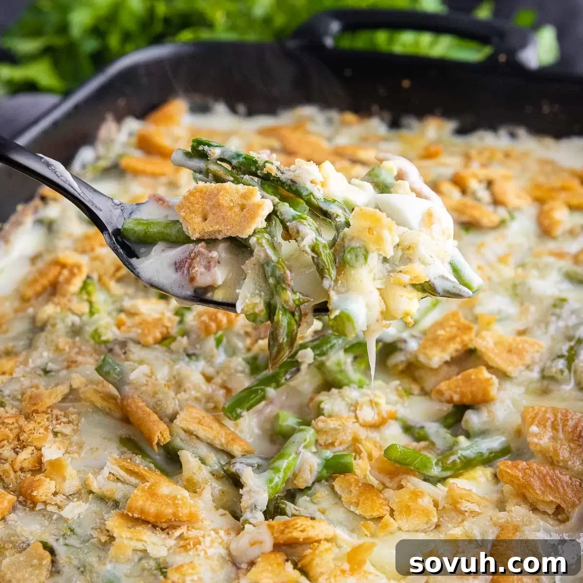 serving Asparagus Casserole with a scoop on a plate