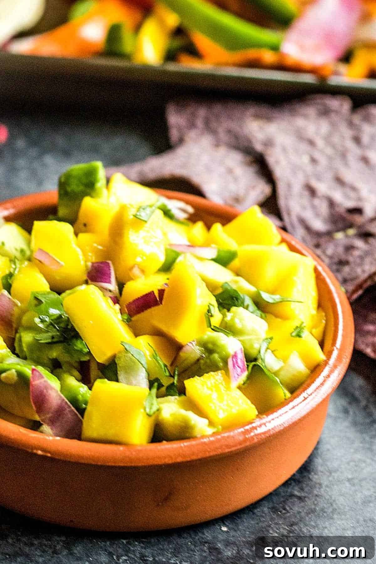 terracotta bowl with Mango Salsa