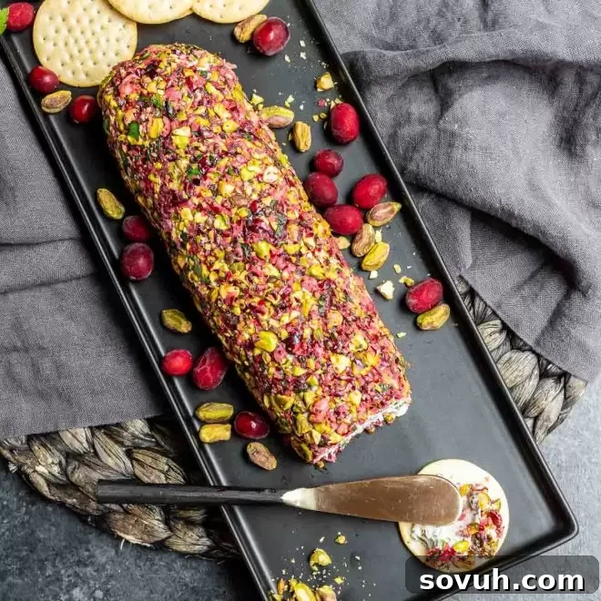 The finished Cranberry Goat Cheese Log displayed on a black platter, surrounded by fresh cranberries, shelled pistachios, and assorted crackers, ready for a holiday party.