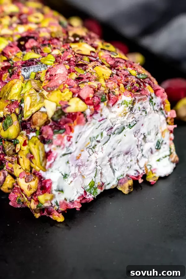 The Cranberry Goat Cheese Log fully coated with cranberry relish and pistachios, ready to be unwrapped and served.
