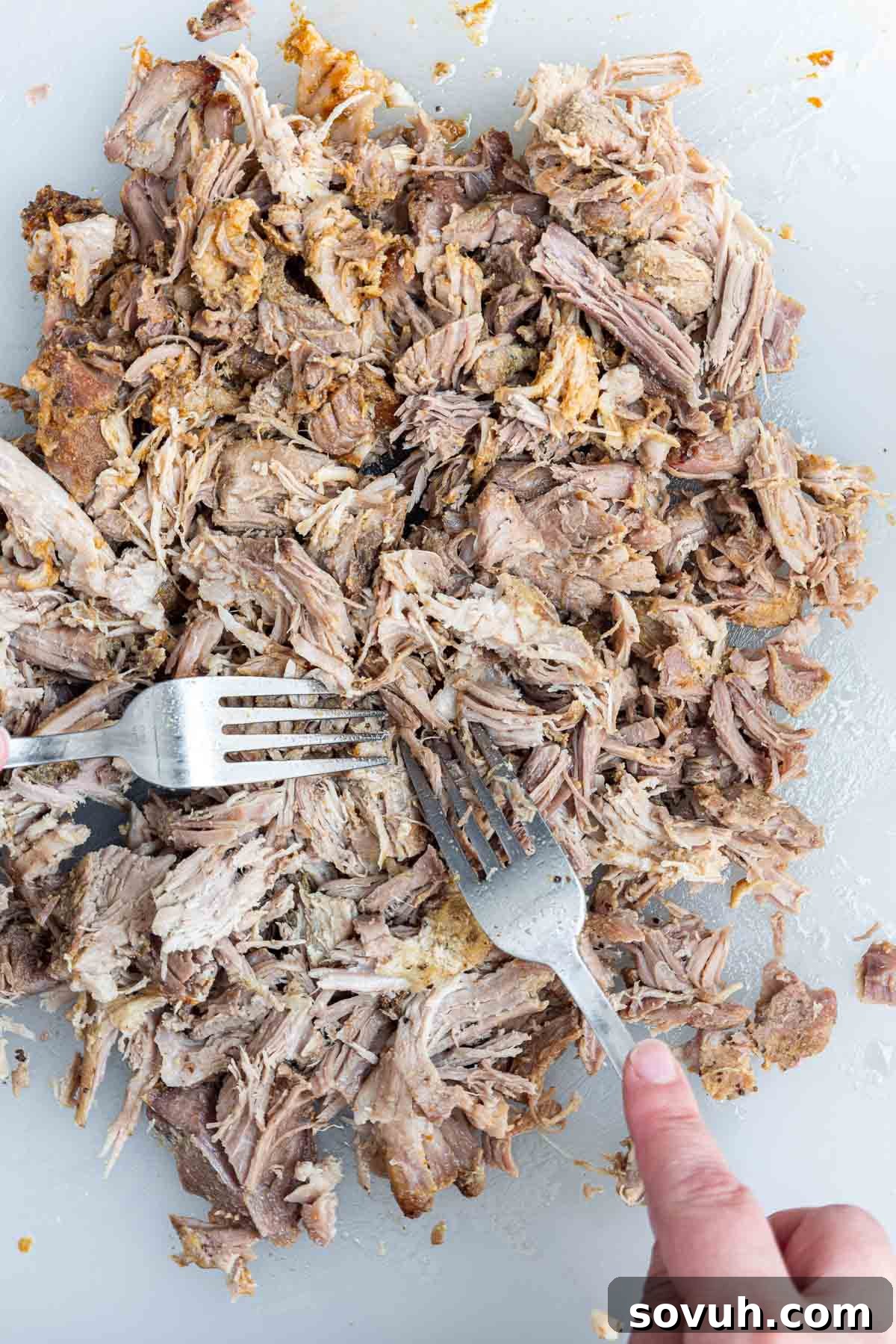 Two forks effortlessly pulling apart tender Slow Cooker Pulled Pork Carnitas