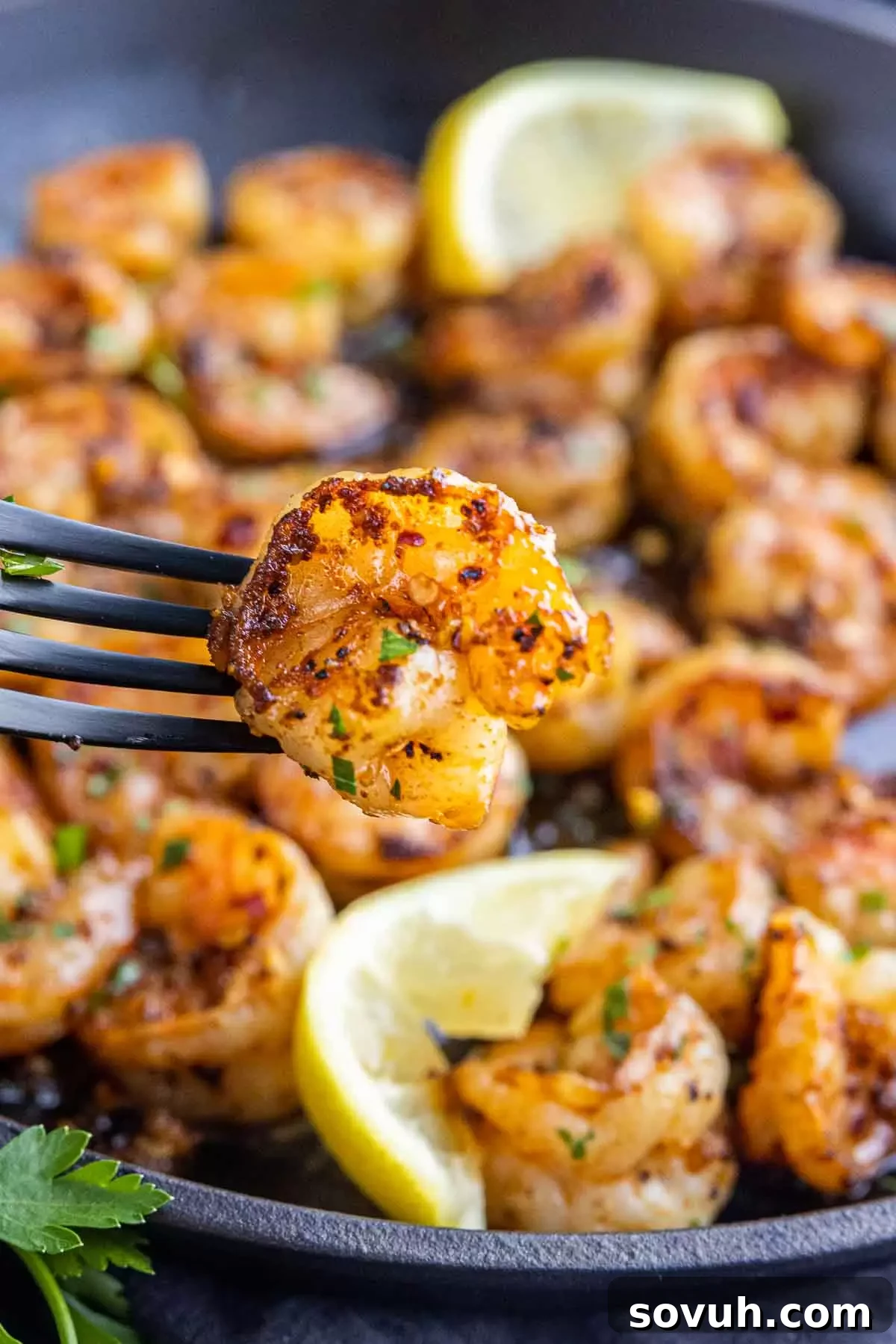 Sizzling Chili Garlic Shrimp 5 A single shrimp from Gambas Pil Pil on a fork, with a squeeze of fresh lemon, highlighting its tenderness and rich flavor.