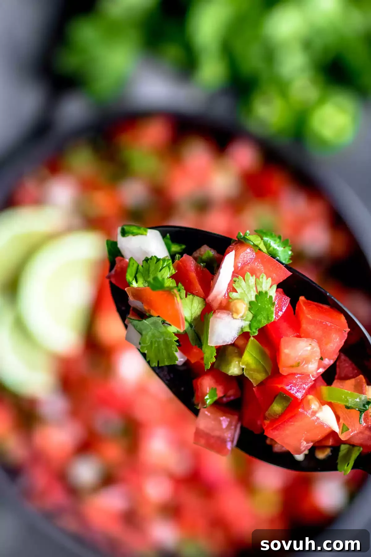 Garden Fresh Salsa 3 Salsa Fresca on a black spoon