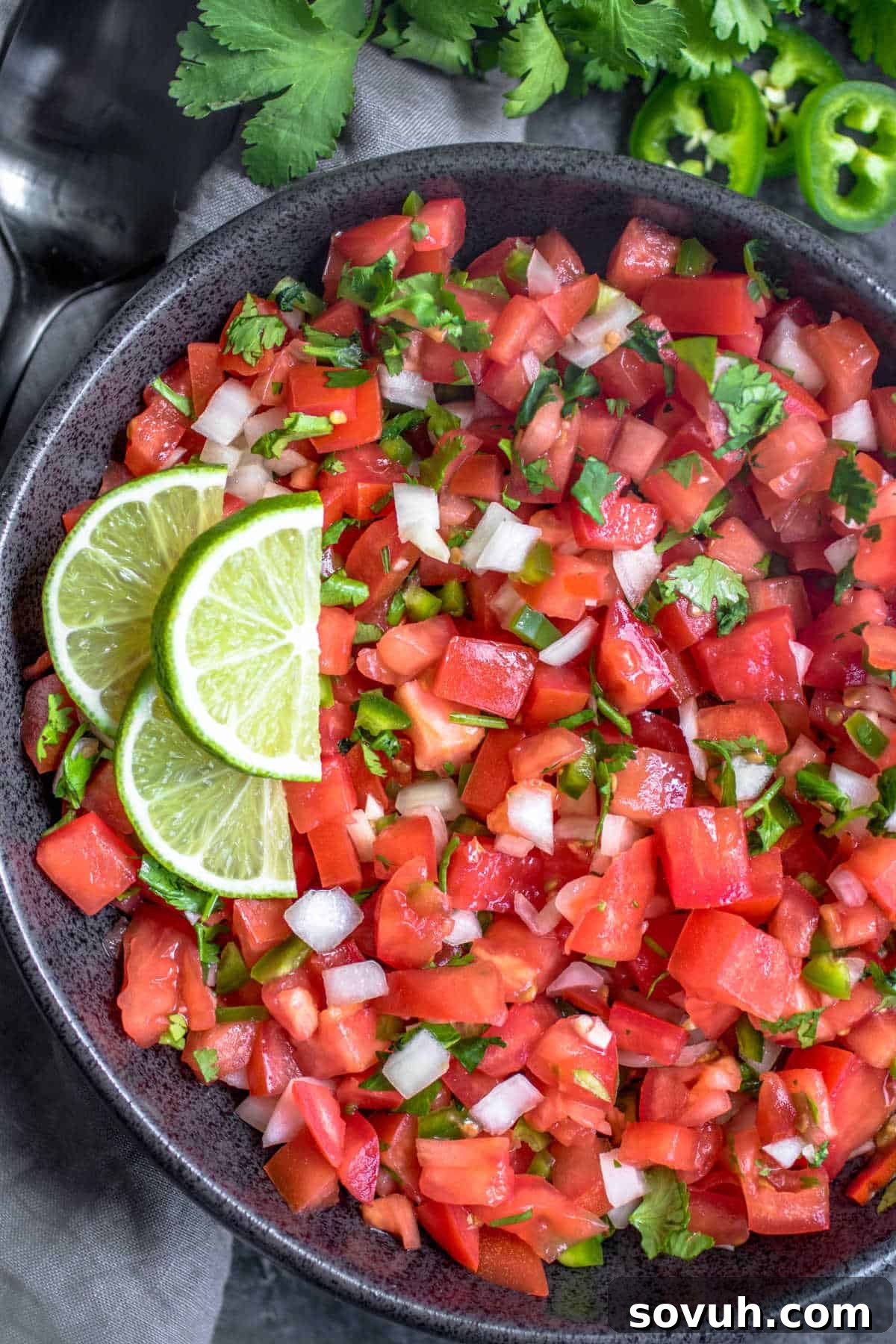 Garden Fresh Salsa 4 Salsa Fresca in a bowl with fresh parsley and black spoon