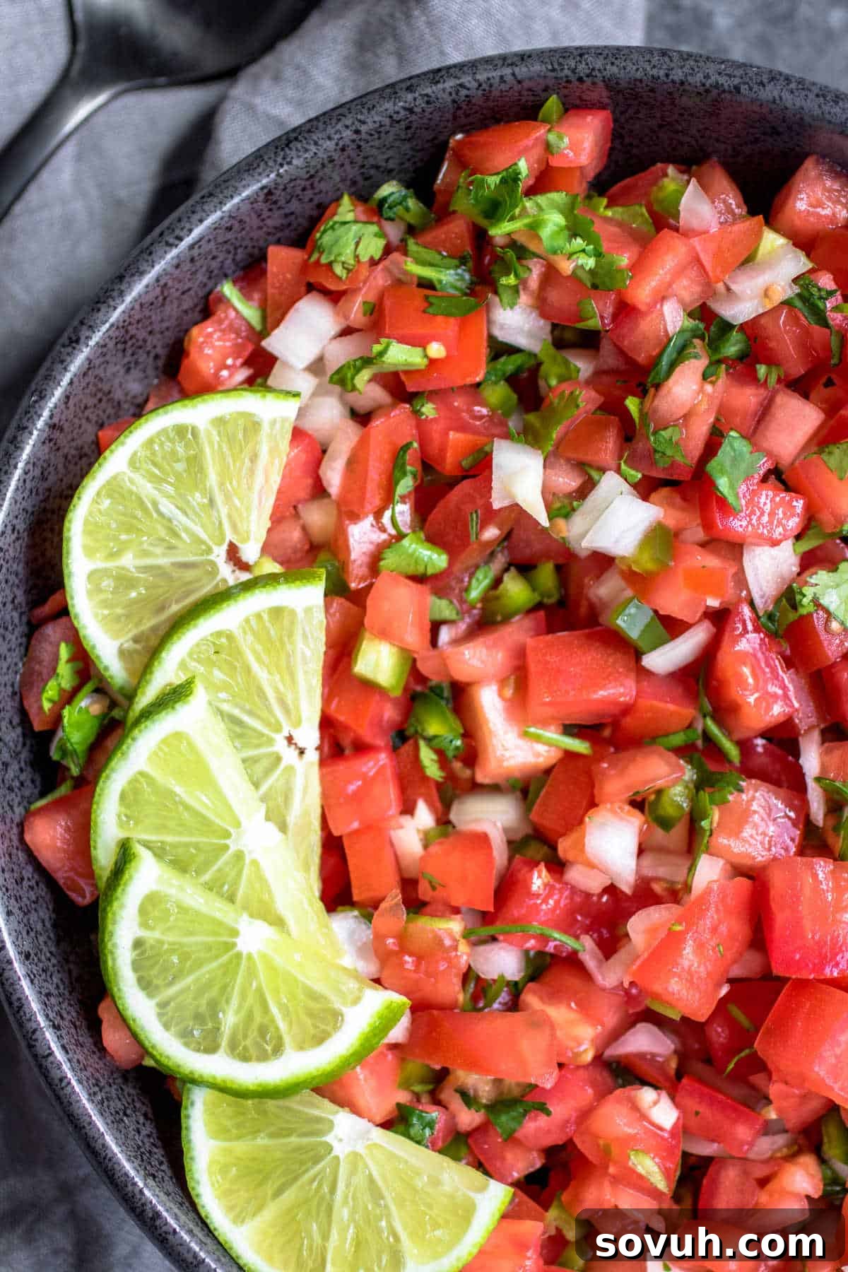 Garden Fresh Salsa 5 Fresh tomato salsa in a bowl with lime wedges on top as a garnish
