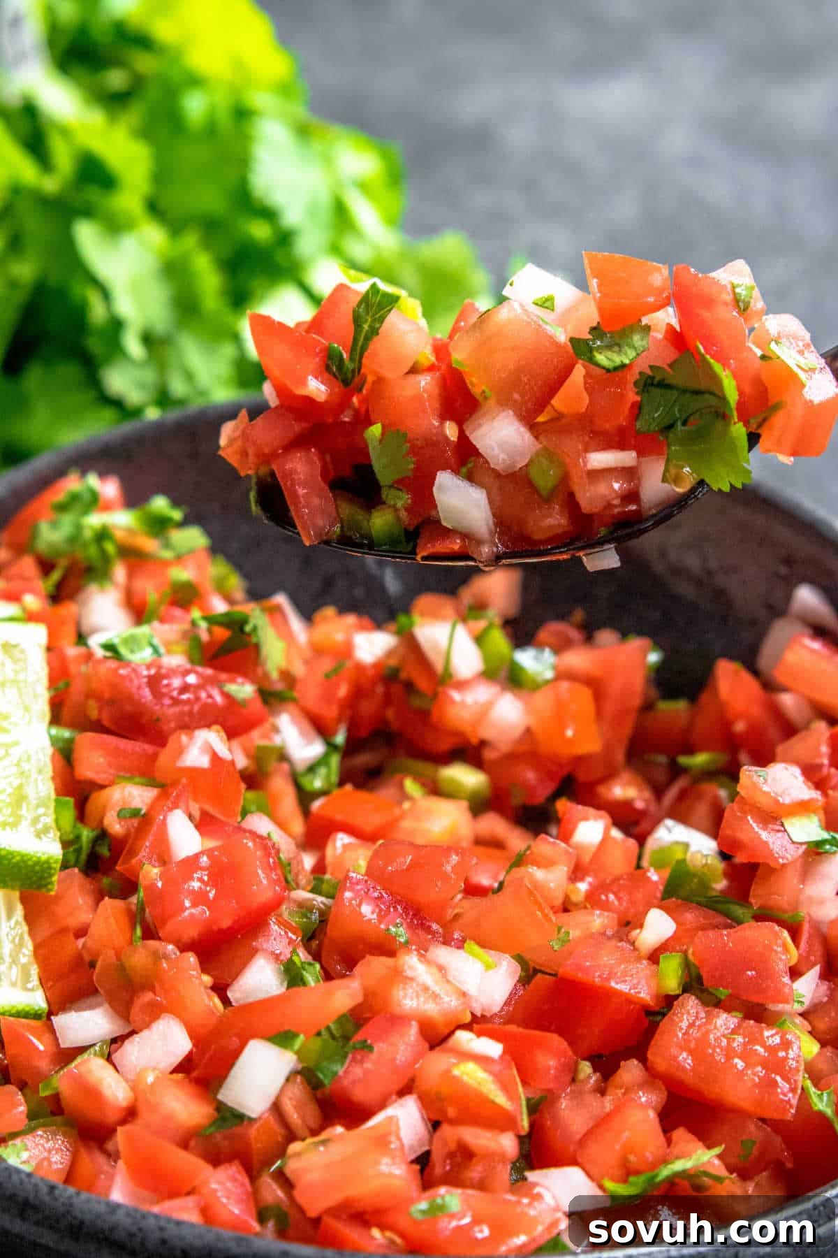 Garden Fresh Salsa 6 scooping Salsa Fresca with a black spoon