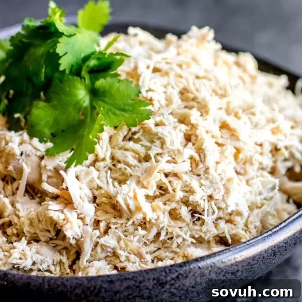 shredded chicken garnished with parsley, ready for meal prep