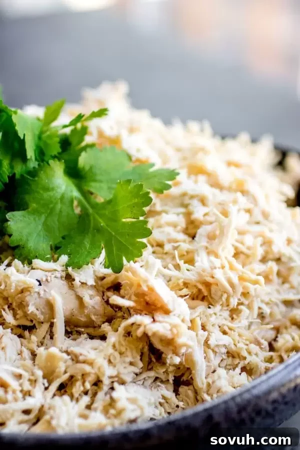 shredded chicken in a bowl topped with parsley, ready to be served