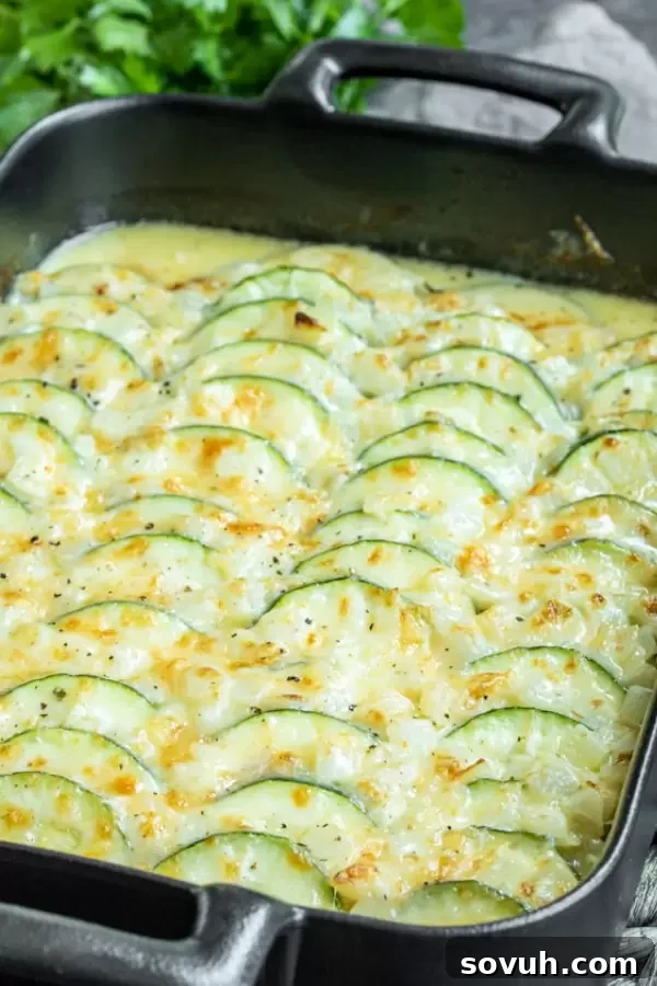 Close-up of a side dish of Cheesy Baked Zucchini Casserole in a black casserole dish, garnished with fresh herbs