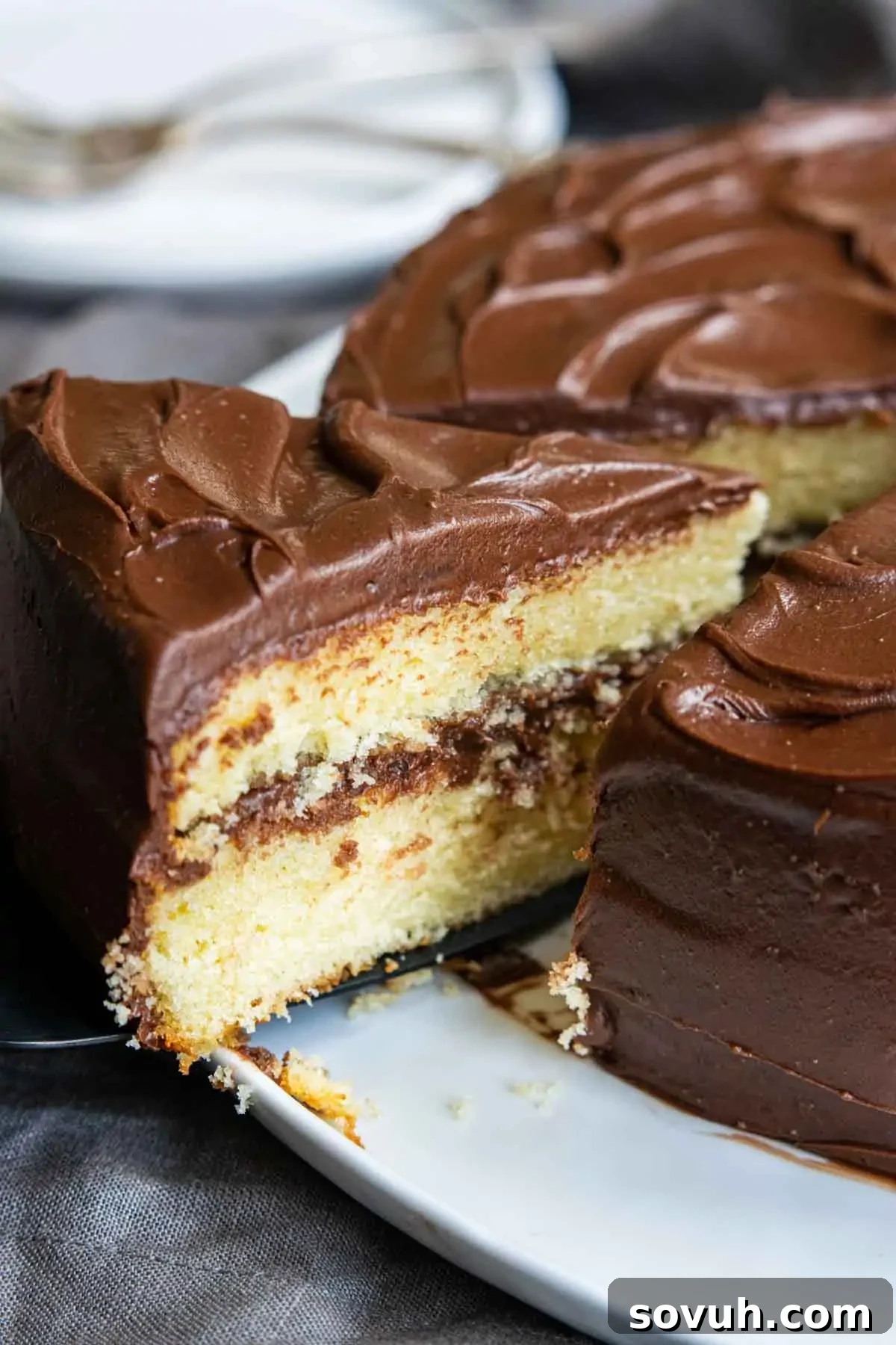 A two-layer vanilla cake, generously frosted with chocolate, with one perfect slice removed to reveal its tender, moist interior.