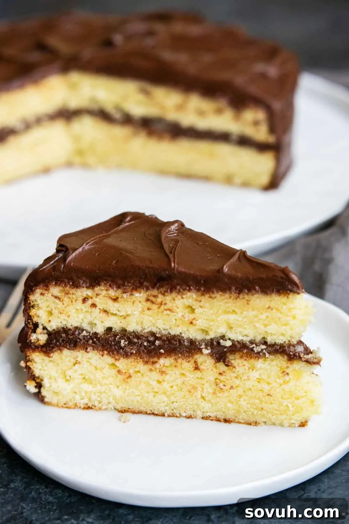 A delectable slice of yellow cake with rich chocolate frosting on a crisp white plate, with the remainder of the cake in the background, inviting another taste.