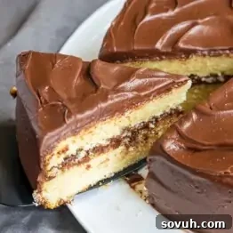Two slices of chocolate-frosted layer cake with cream filling on a white plate.