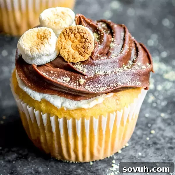 Delicious S'mores Cupcakes topped with chocolate frosting and toasted marshmallows, ready to be enjoyed.