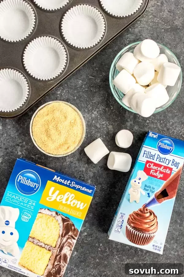 Ingredients for S'mores Cupcakes including Pillsbury cake mix and frosting bags, ready for baking.