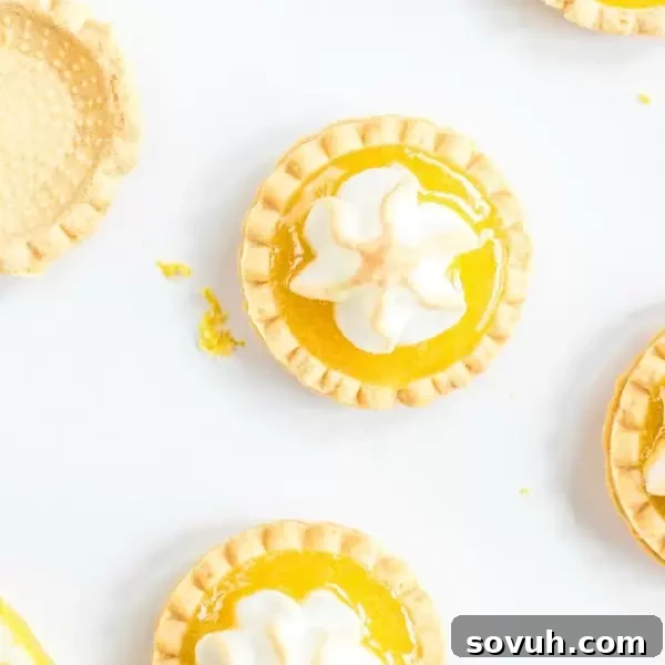 Delicious Lemon Curd Tartlets with beautifully toasted meringue on top, perfect for any party.