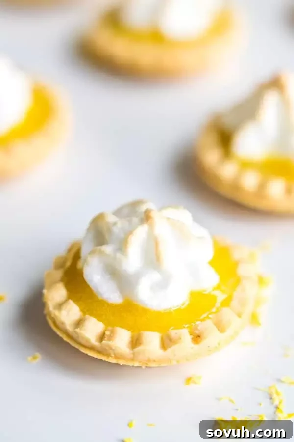 Close-up of mini shortbread Lemon Curd Tartlets with fluffy meringue topping