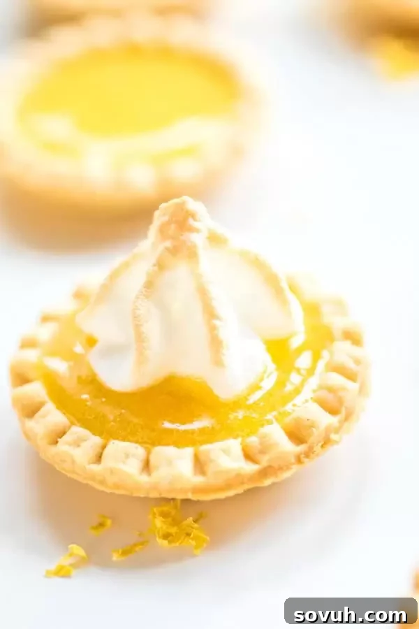 Bite-sized Lemon Curd Tartlets with a generous dollop of meringue