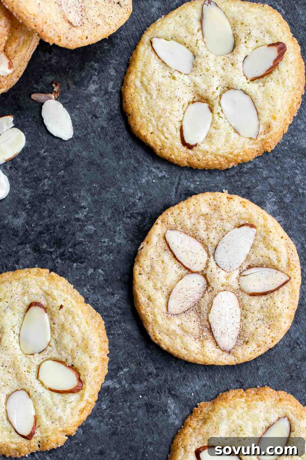 Sand Tarts scattered