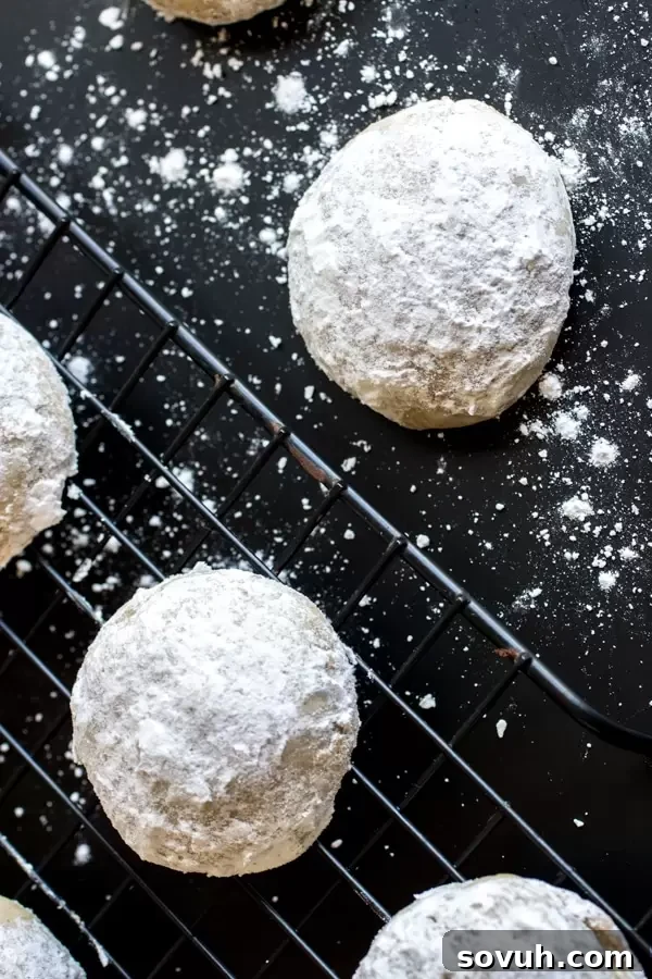 Mexican Wedding Cookies perfectly arranged on a black countertop.