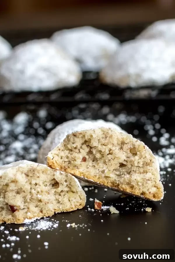 Inside of a Mexican Wedding Cookie, showing the delicate crumb and pecan pieces.