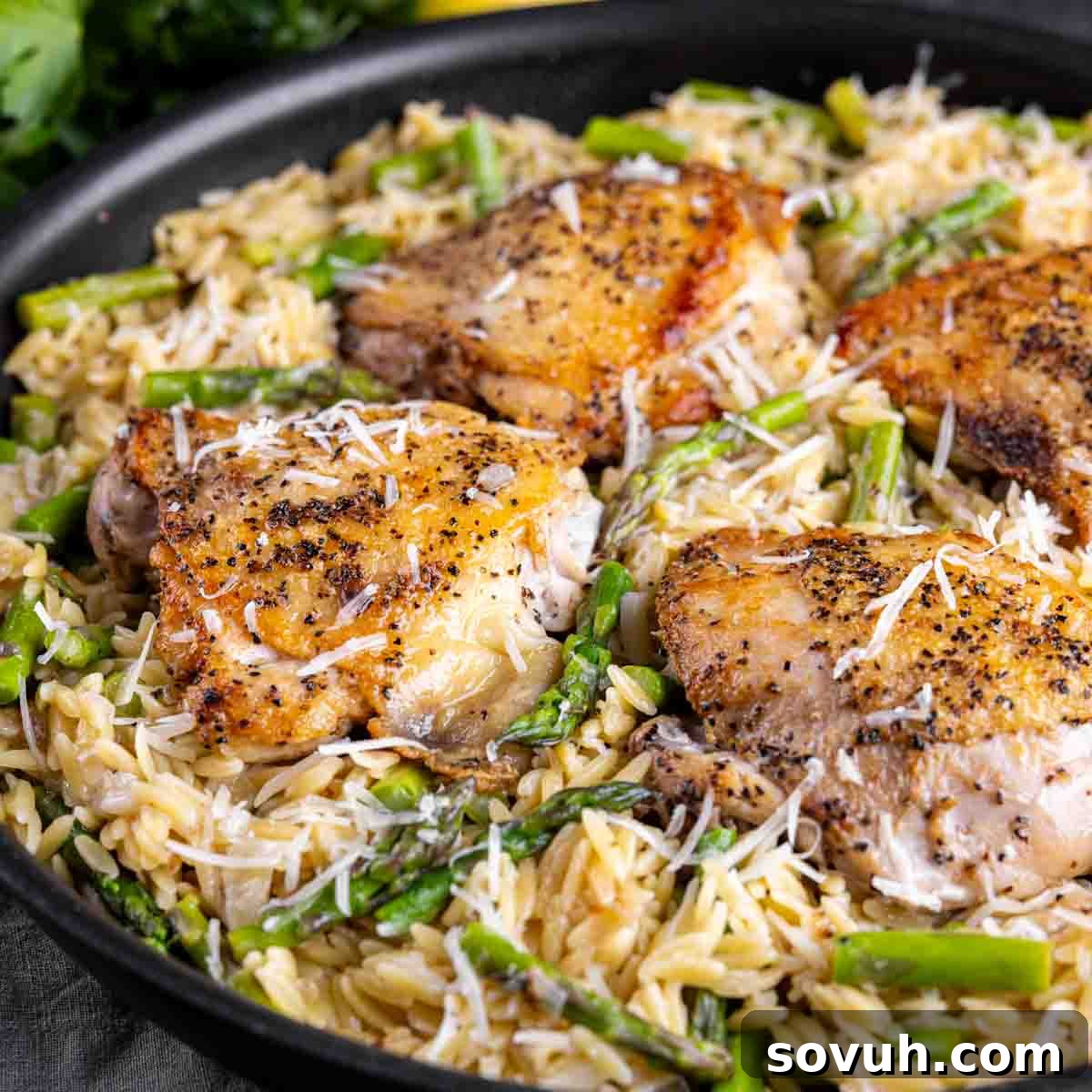 A skillet meal with golden-brown chicken thighs nestled in creamy Parmesan orzo and vibrant green asparagus spears, garnished with fresh herbs and a lemon wedge.