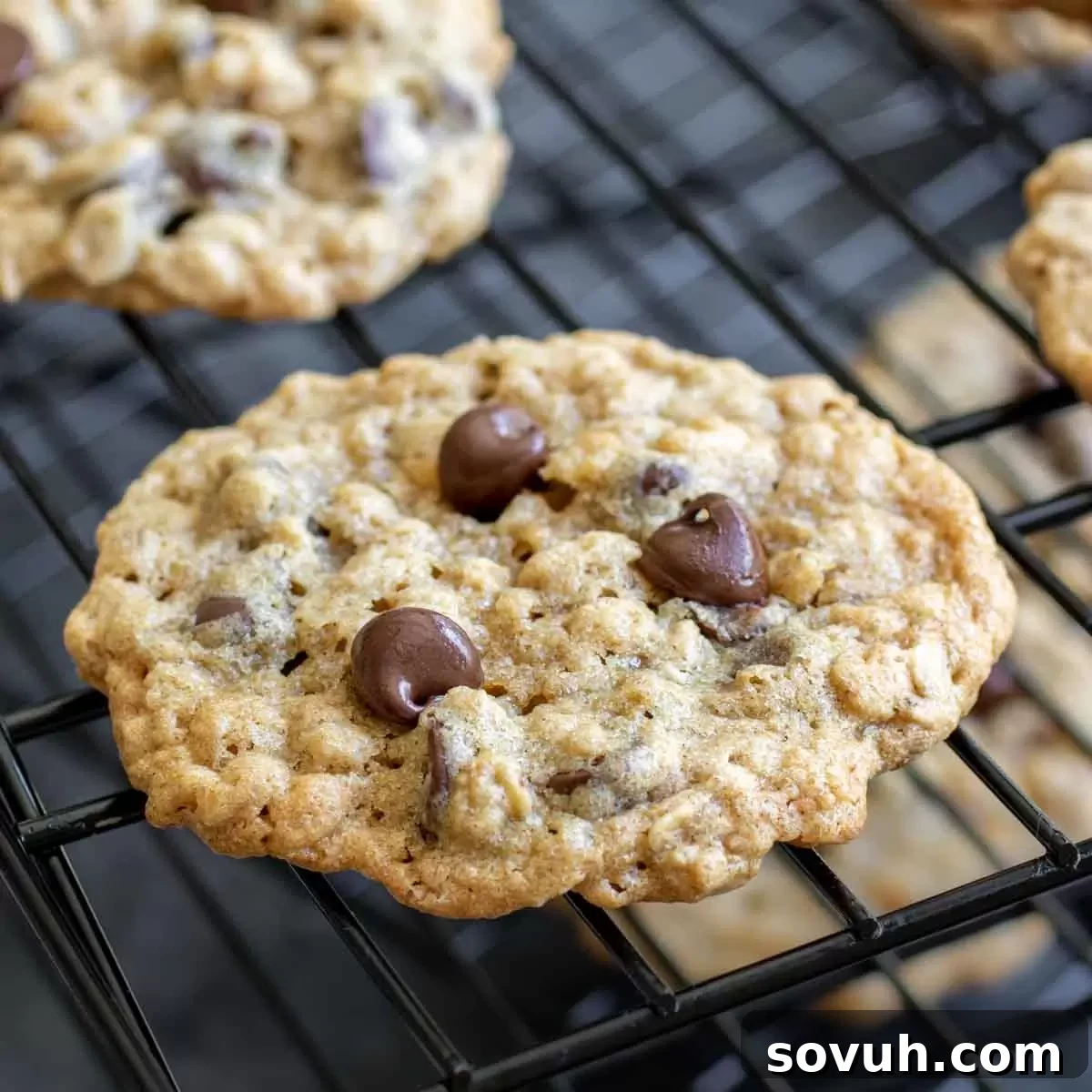Ranger Cookies on cooling rack, showcasing their golden-brown edges and delicious texture