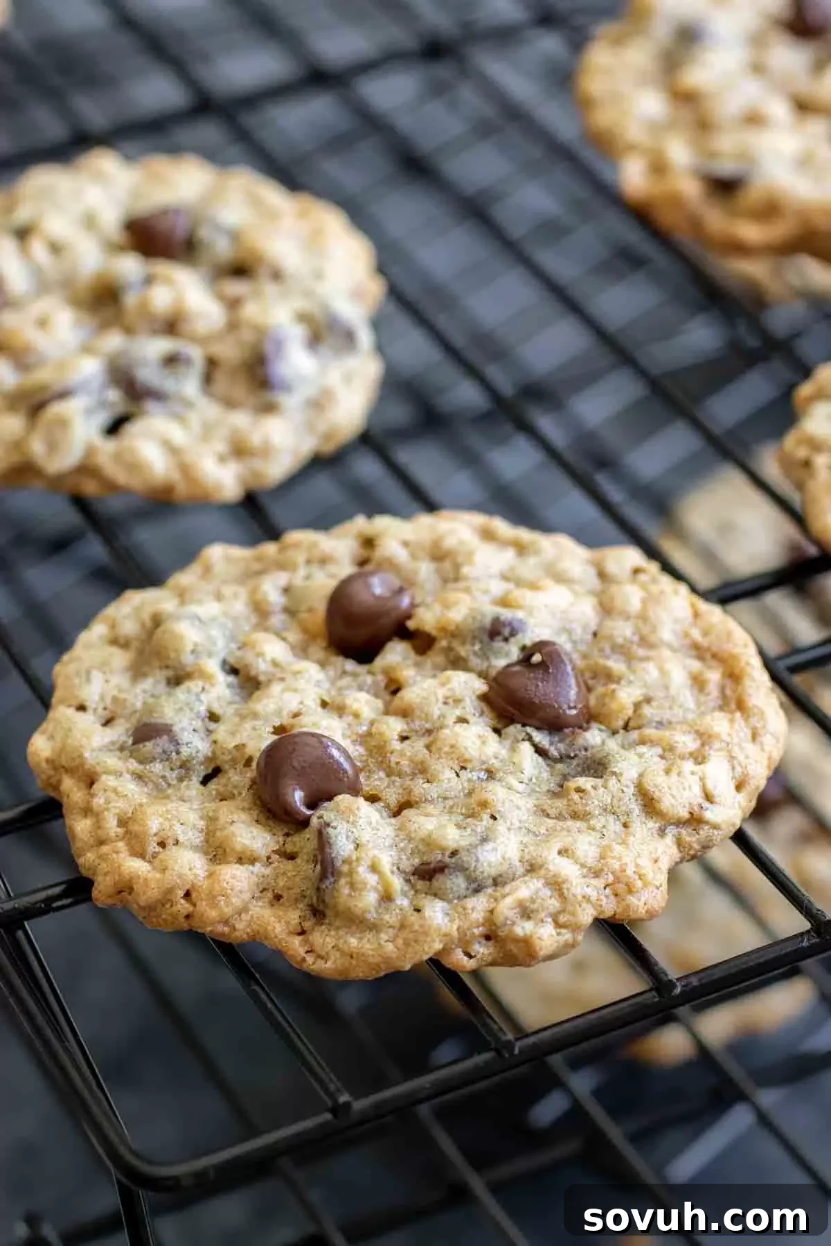 Several Ranger Cookies cooling on a black wire rack against a rustic background