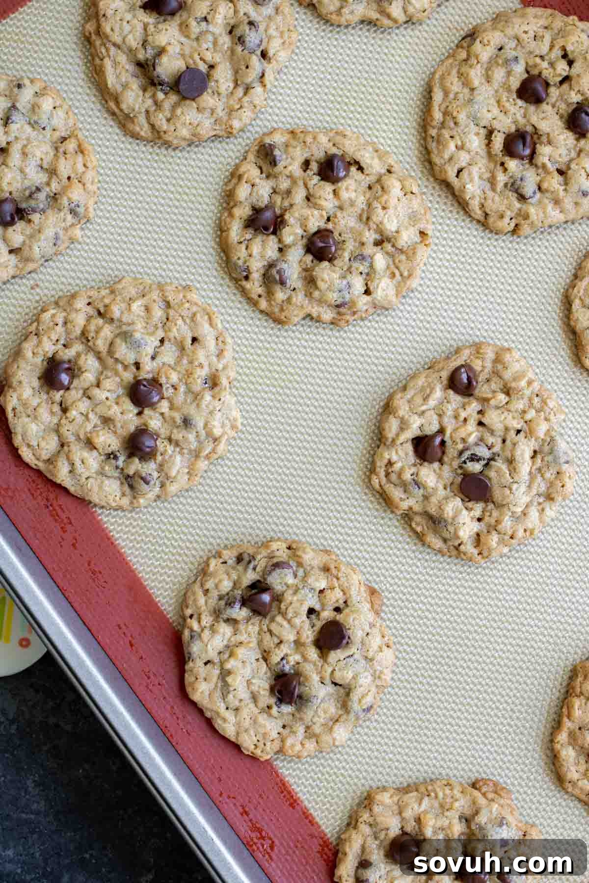 Batch of fresh Ranger Cookies straight out of the oven on a baking pan, looking golden and delicious