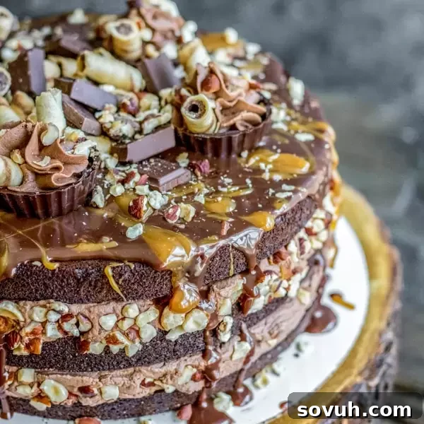 Homemade Nutella Brownie Cake with layers of chocolate brownie, Nutella frosting, and chocolate ganache, garnished with toasted hazelnuts.