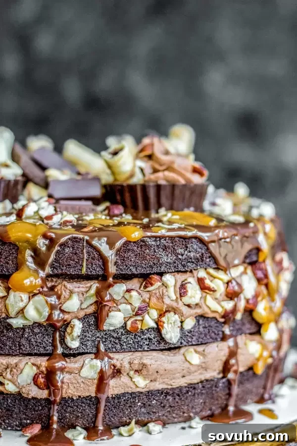 Close-up of a slice of Nutella Brownie Cake showcasing the layers of brownie, frosting, and ganache, with toasted hazelnuts on top.