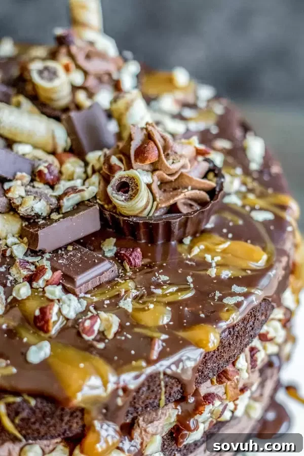 Three-layer Nutella Brownie Cake with decadent Nutella frosting between each fudgy brownie layer, topped with chocolate ganache and roasted hazelnuts.