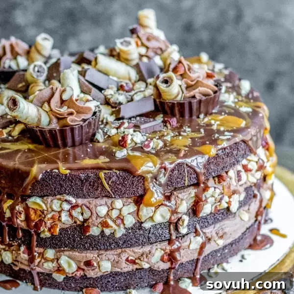 Nutella Brownie Cake drizzled with caramel and garnished with chocolate wafers and toasted hazelnuts, ready to be served.