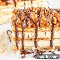 Girl Scout Samoa Napoleons