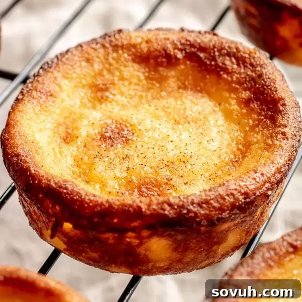 Portuguese Milk Tarts Queijadas de Leite