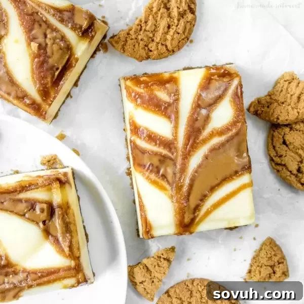 Creamy Gingersnap Cheesecake Bars with Cookie Butter Swirls on a Gingersnap Crust