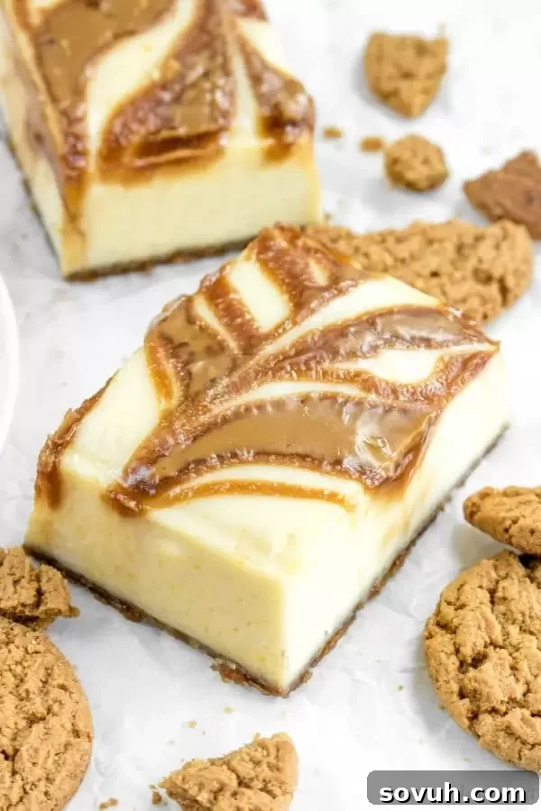 Gingersnap cheesecake with a crushed gingersnap cookie crust