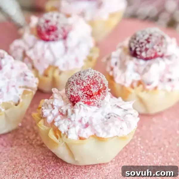 Delicious Cranberry Fluff Cheesecake Bites - A perfect no-bake Christmas or Thanksgiving dessert for holiday parties.