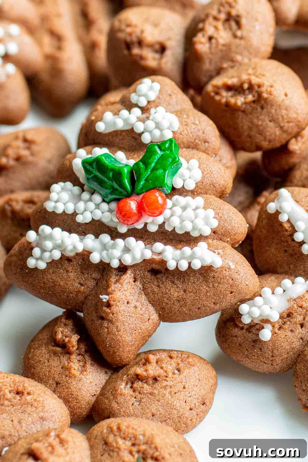 Decorated Chocolate Spritz Cookies on a serving platter, showcasing the festive appeal of these holiday treats.