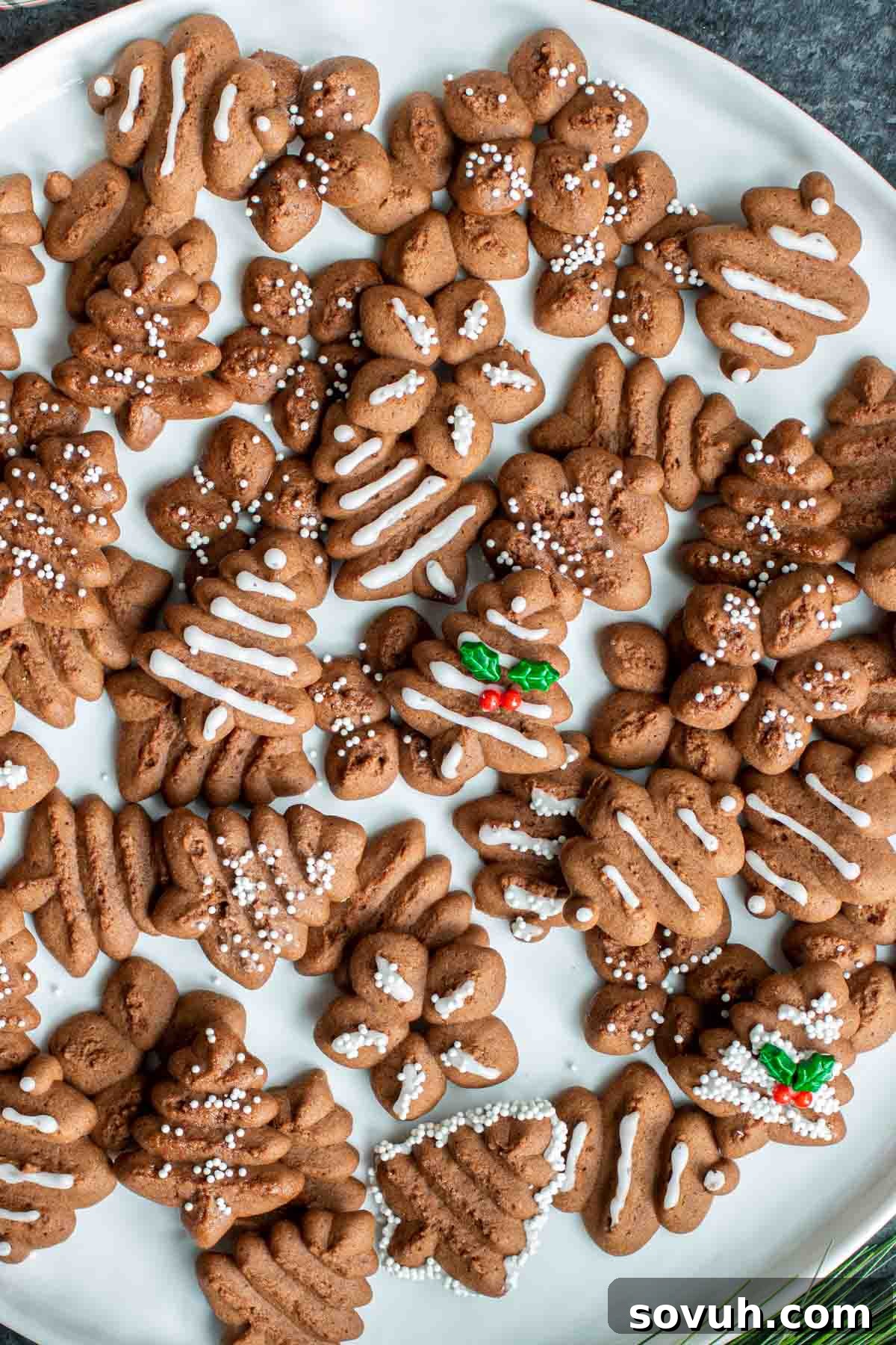 A selection of Chocolate Spritz Cookies on a white platter, showcasing their delicate texture and inviting chocolate color.