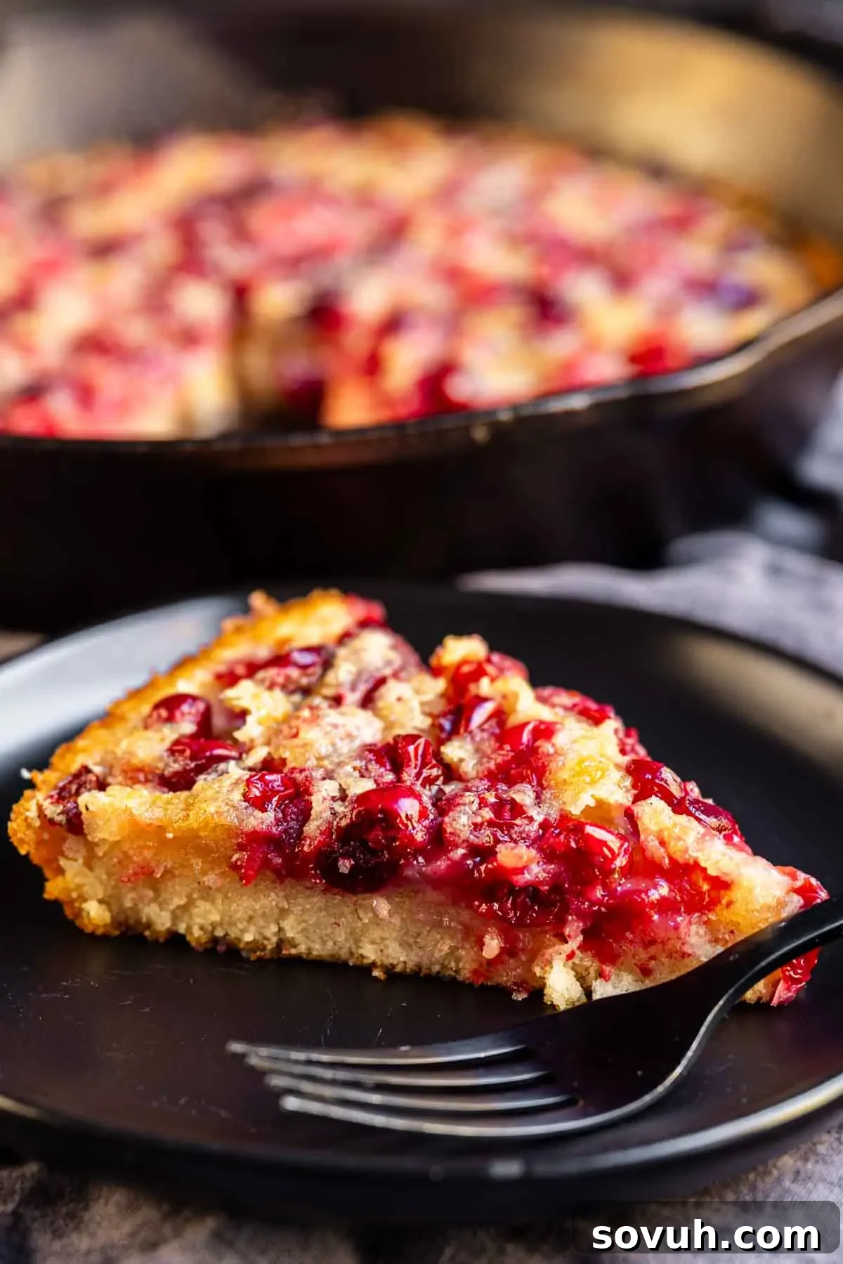 A serving of cranberry buckle on a black plate with a fork, showing its moist cake and cranberry filling, with the remaining buckle still in the cast iron pan in the background.
