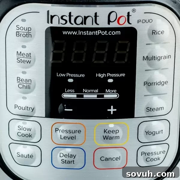 How To Use an Instant Pot in minutes, showing the control panel