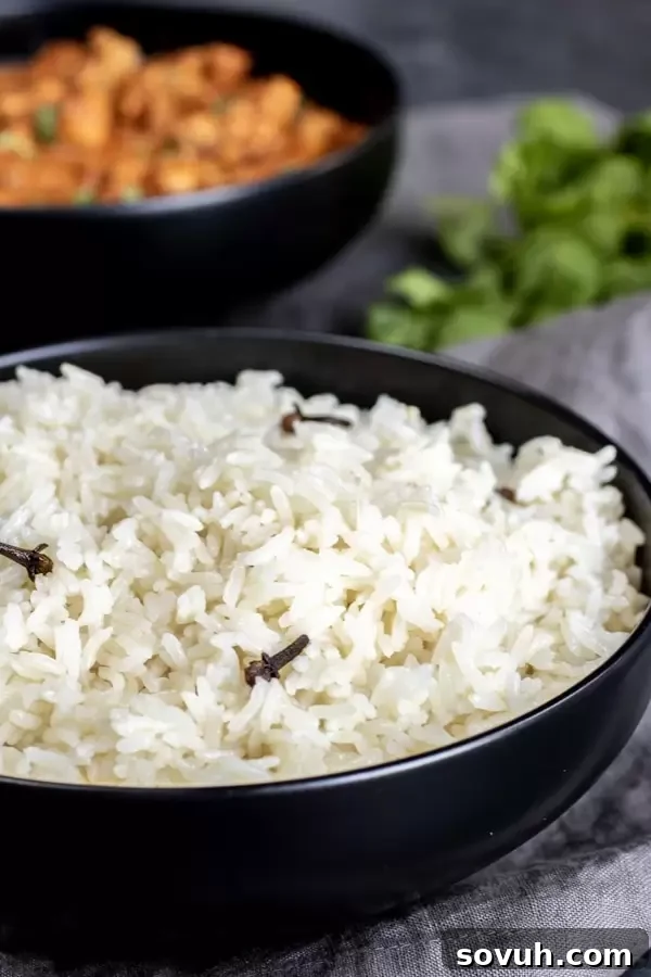 Instant Pot Basmati Rice & Butter Chicken