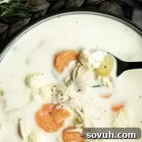 Low Carb Instant Pot Creamy Chicken Soup