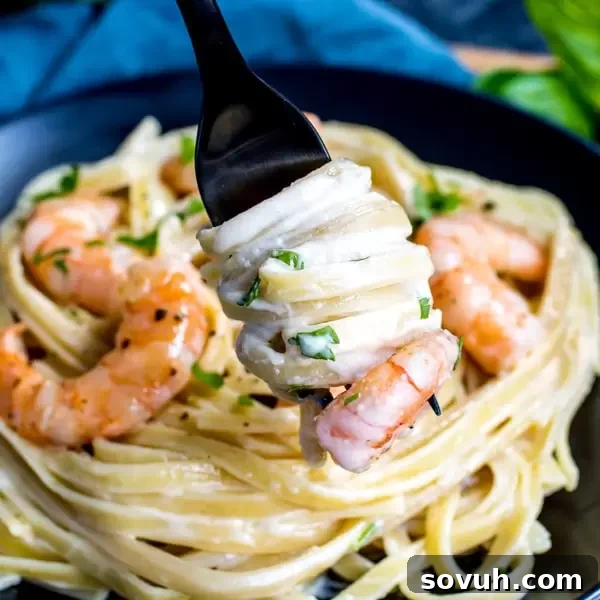 Creamy Shrimp Alfredo on a fork, ready to be enjoyed