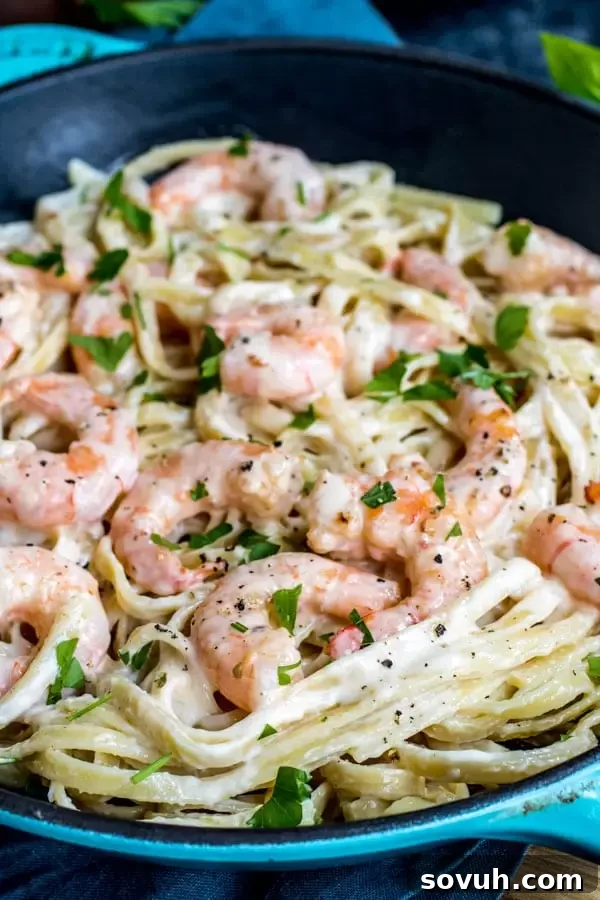 Shrimp Alfredo in a teal pan, garnished with fresh herbs