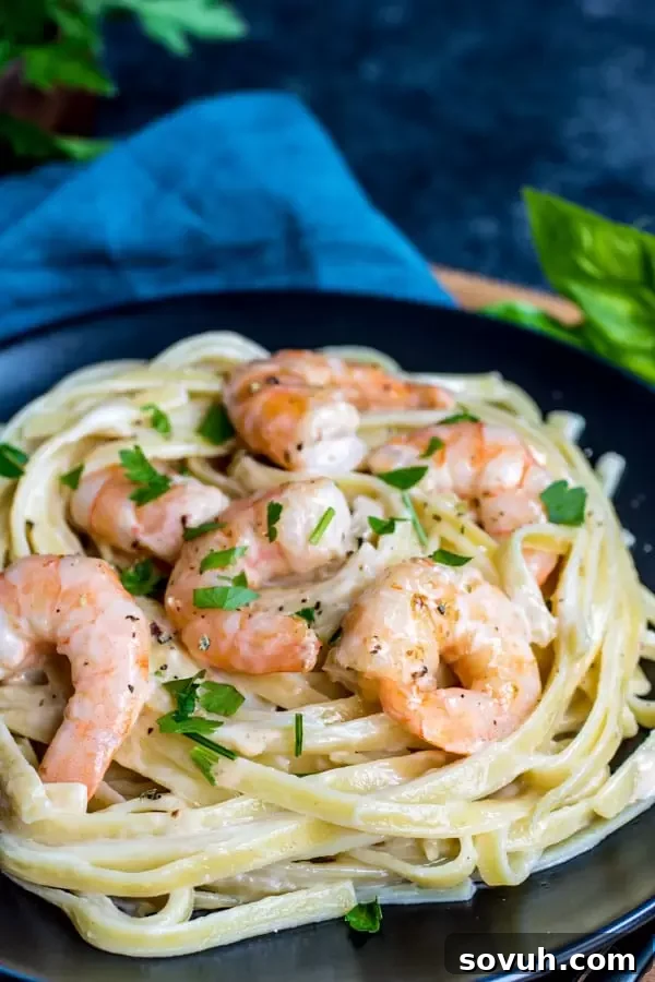 Shrimp Alfredo served on a black plate, garnished with parsley