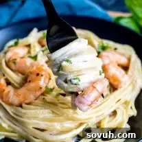 creamy Shrimp Alfredo on a fork